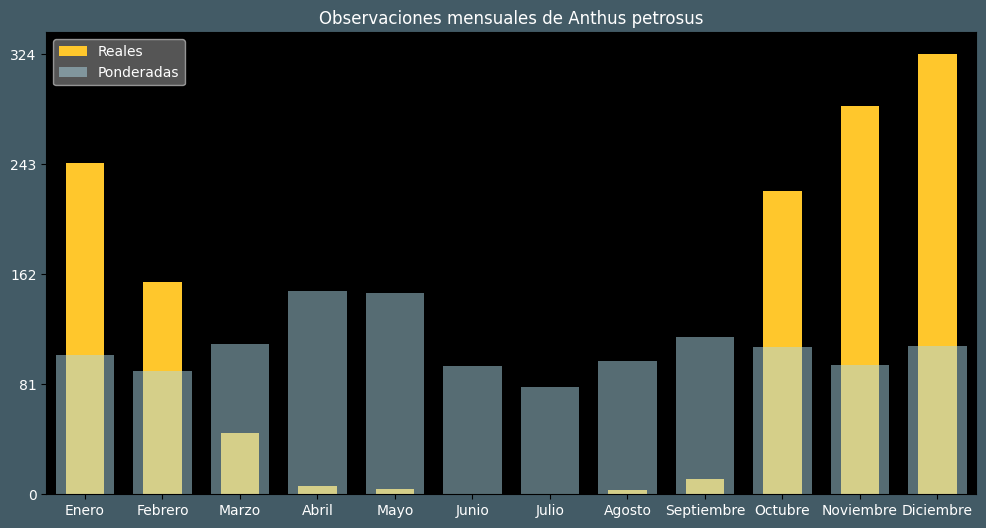 Observations by Month