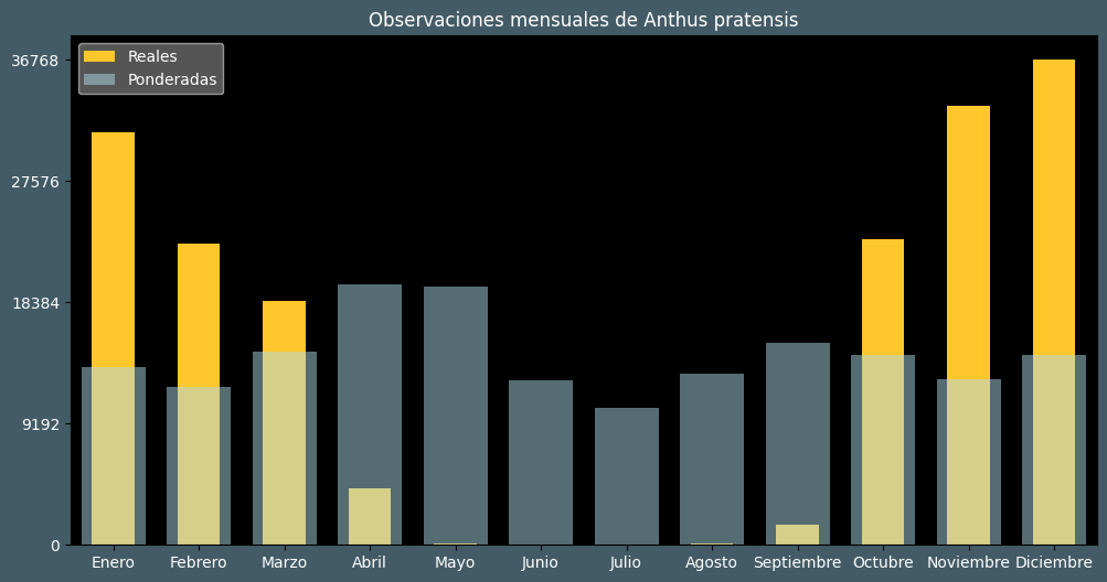 Observations by Month