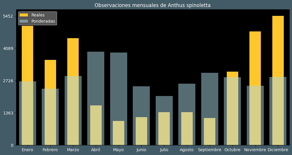 Observations by Month