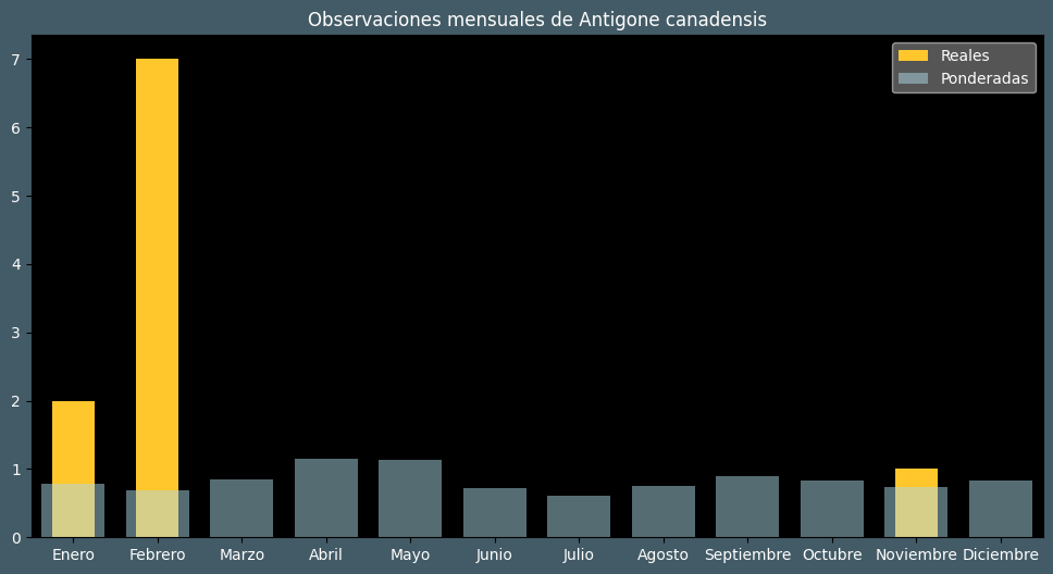 Observations by Month