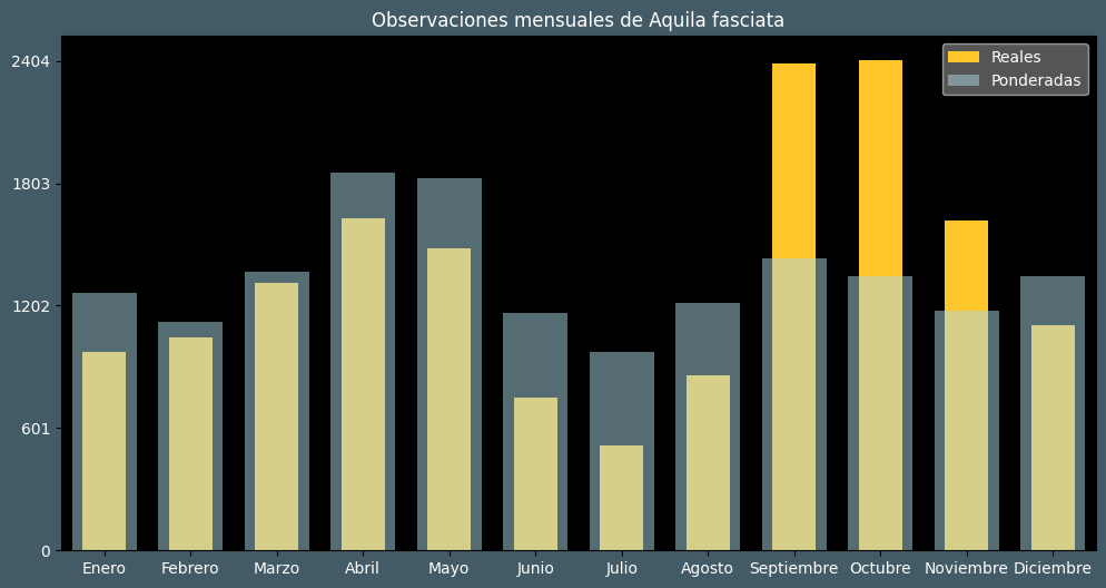 Observations by Month