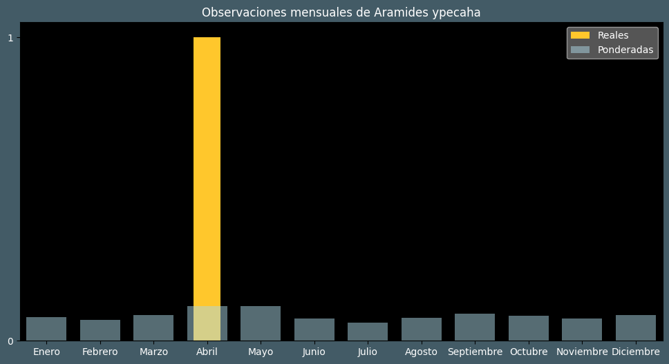 Observations by Month