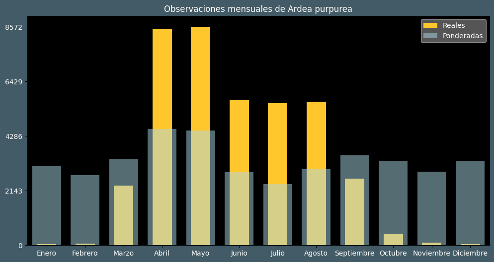 Observations by Month