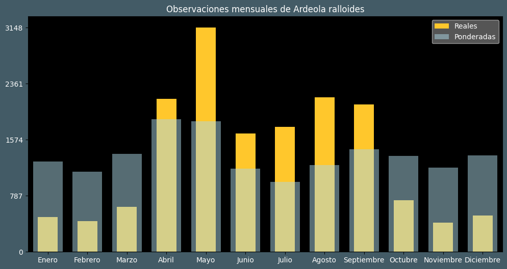 Observations by Month