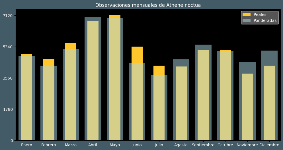 Observations by Month