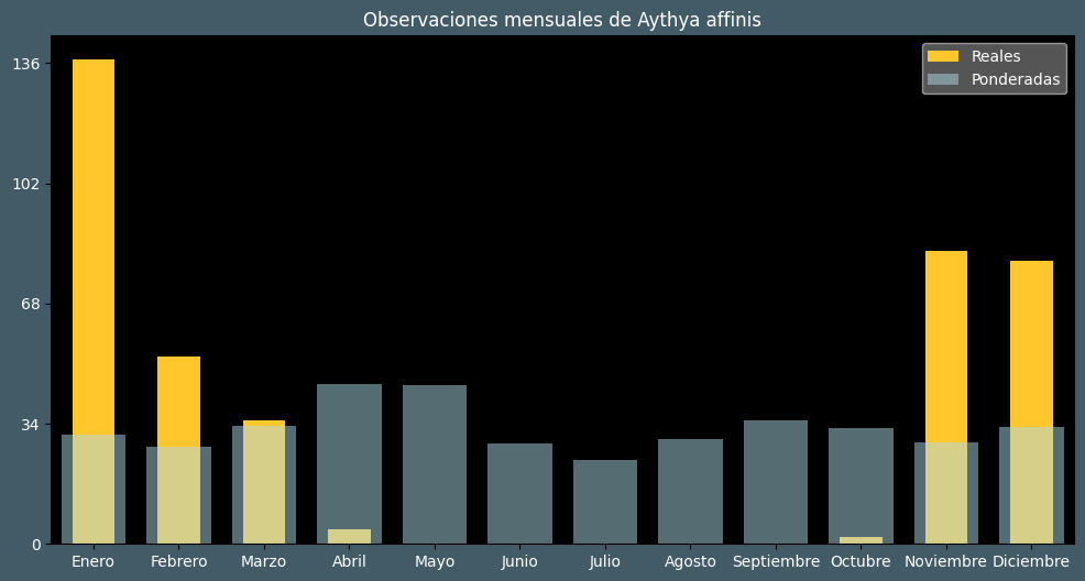 Observations by Month