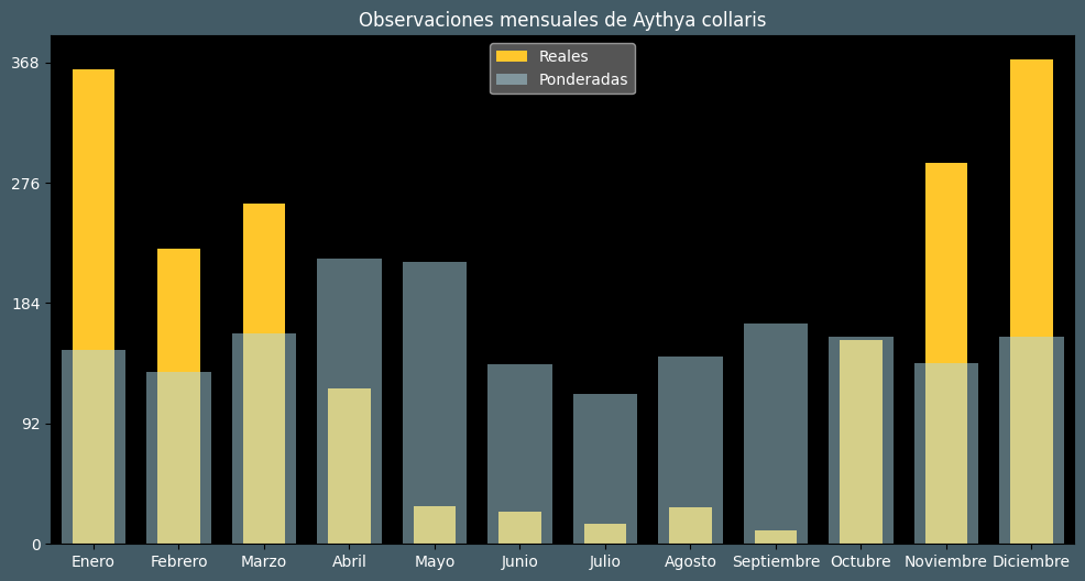 Observations by Month