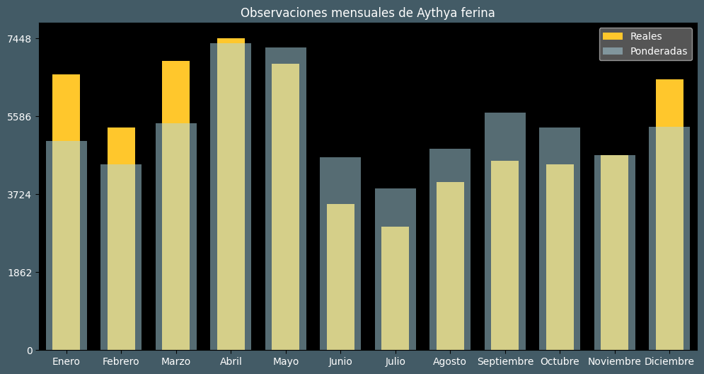 Observations by Month