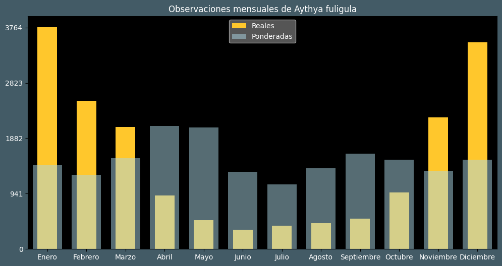 Observations by Month