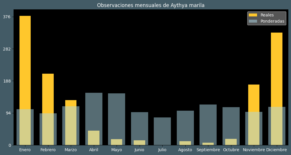 Observations by Month