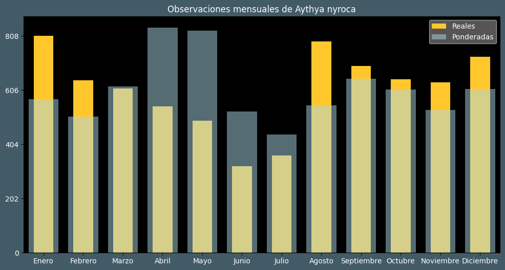 Observations by Month