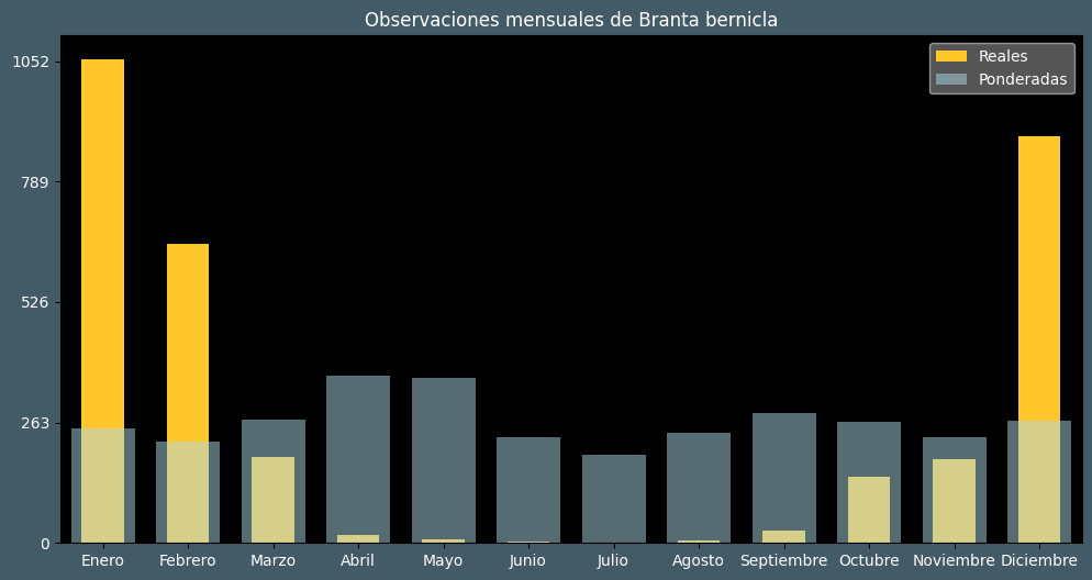 Observations by Month