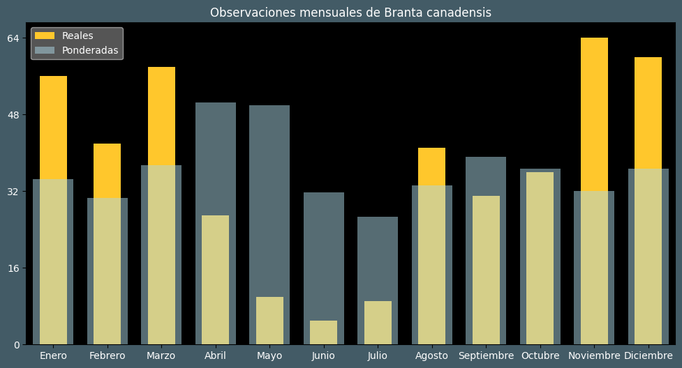 Observations by Month