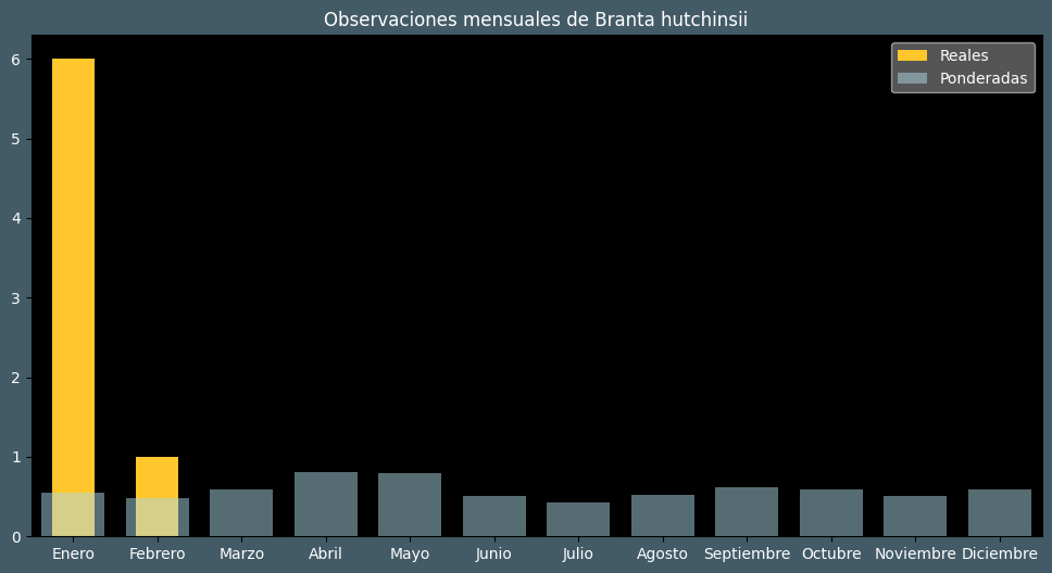 Observations by Month