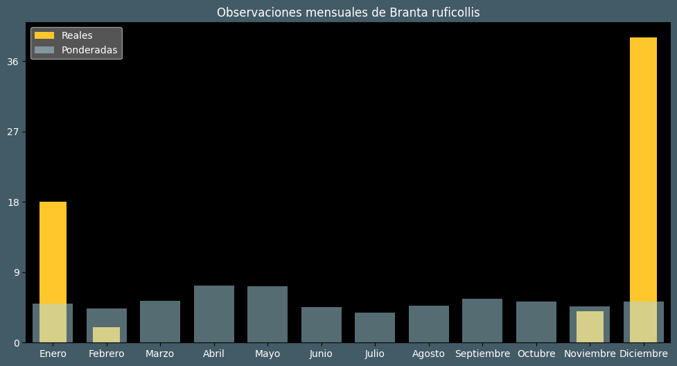 Observations by Month