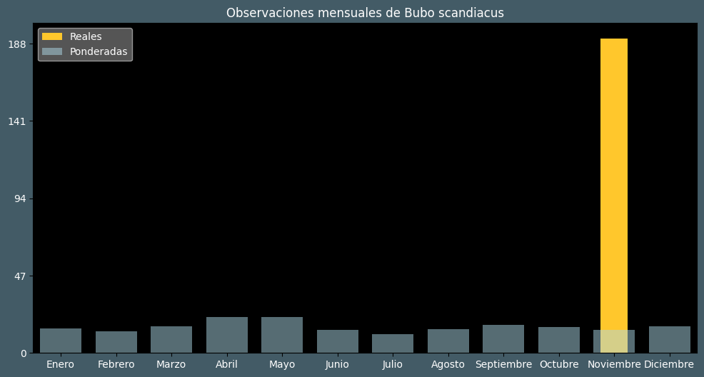 Observations by Month