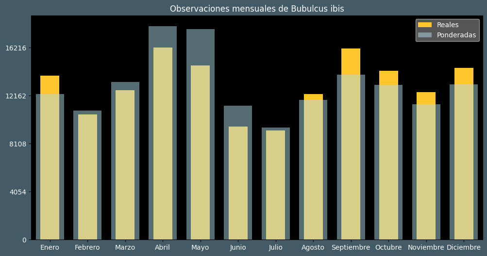 Observations by Month