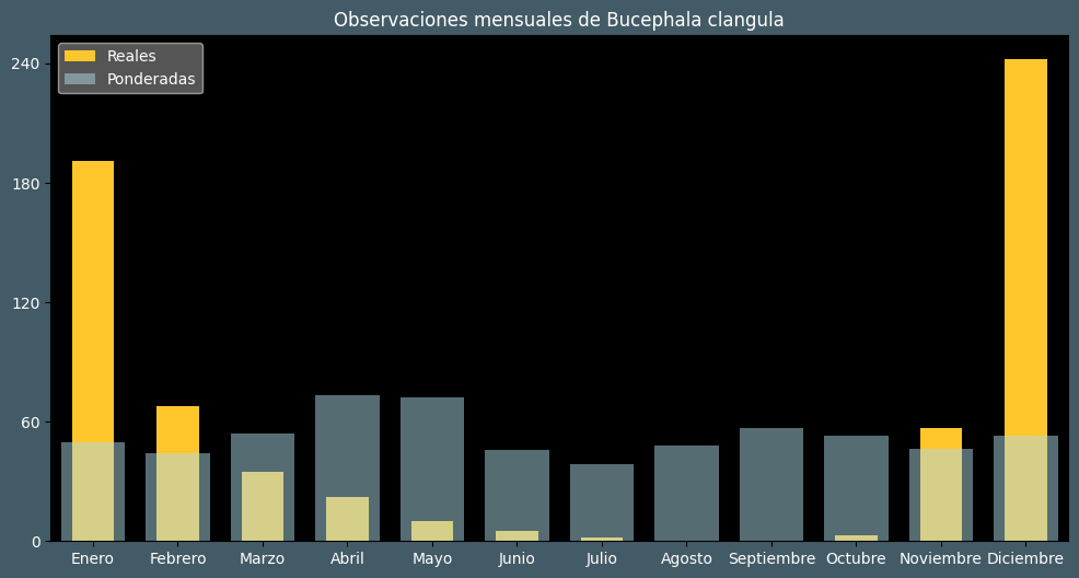 Observations by Month