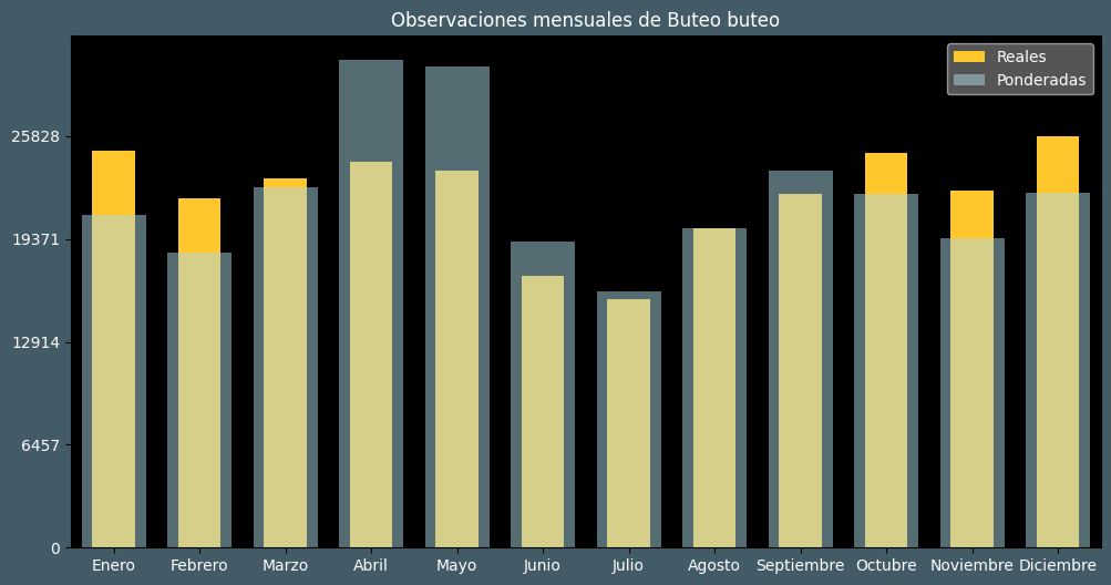 Observations by Month