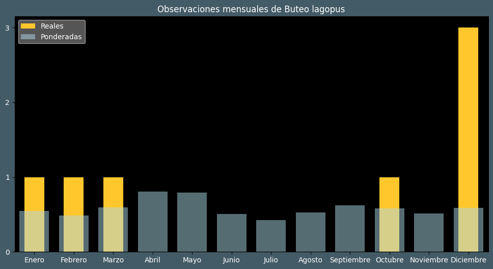 Observations by Month