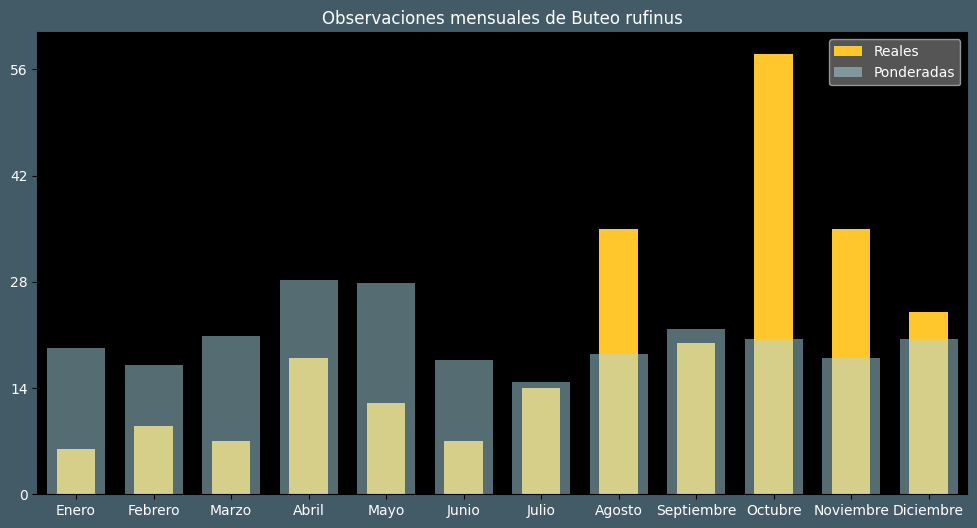 Observations by Month