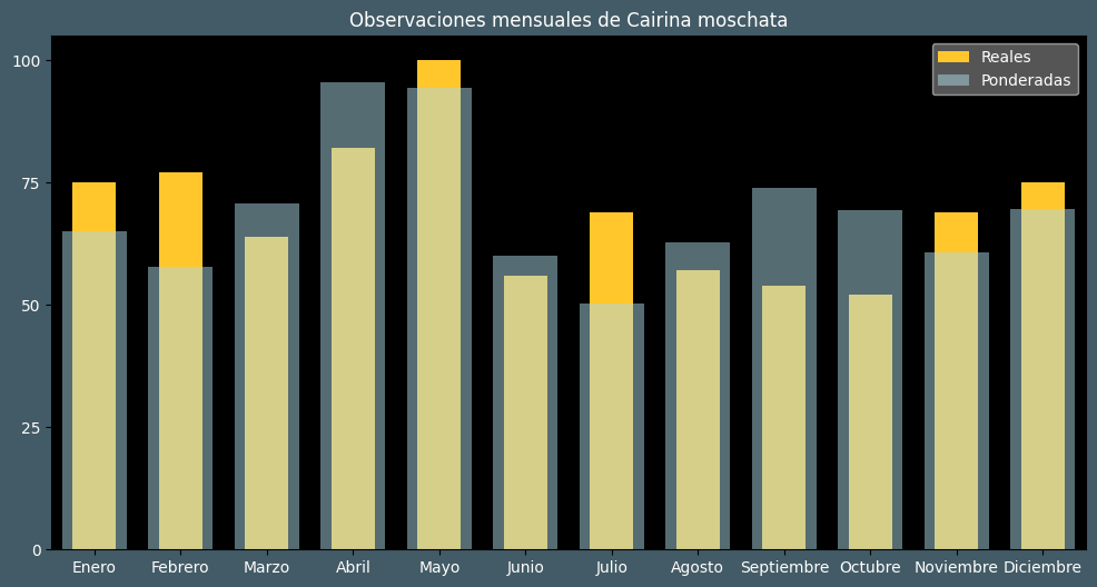 Observations by Month