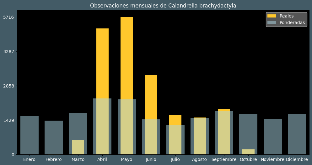 Observations by Month