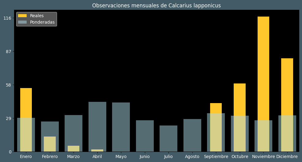 Observations by Month