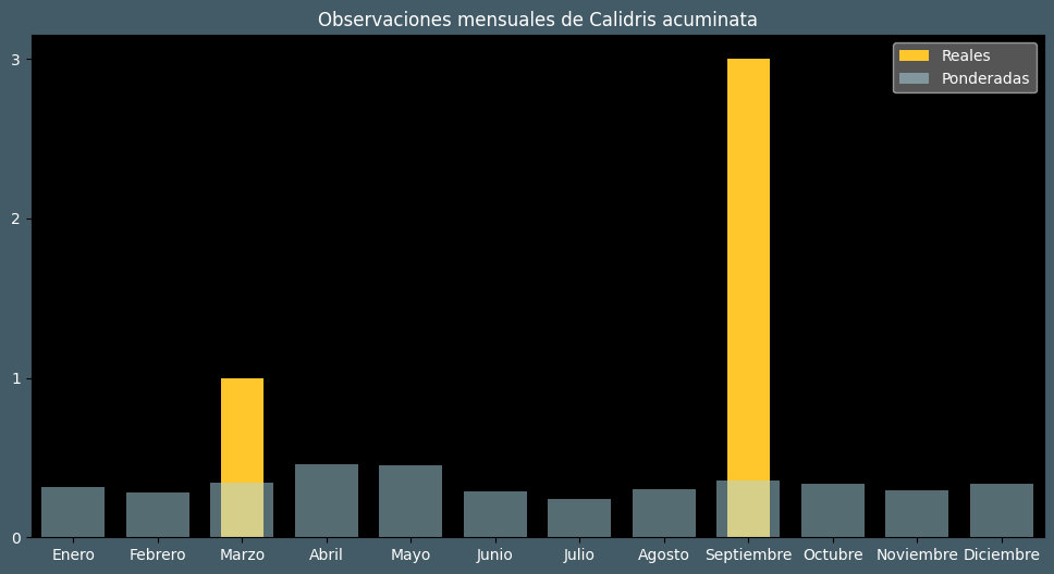 Observations by Month