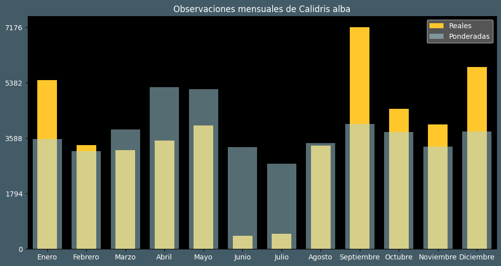 Observations by Month