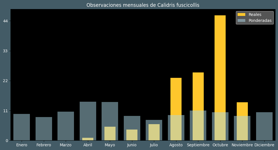 Observations by Month