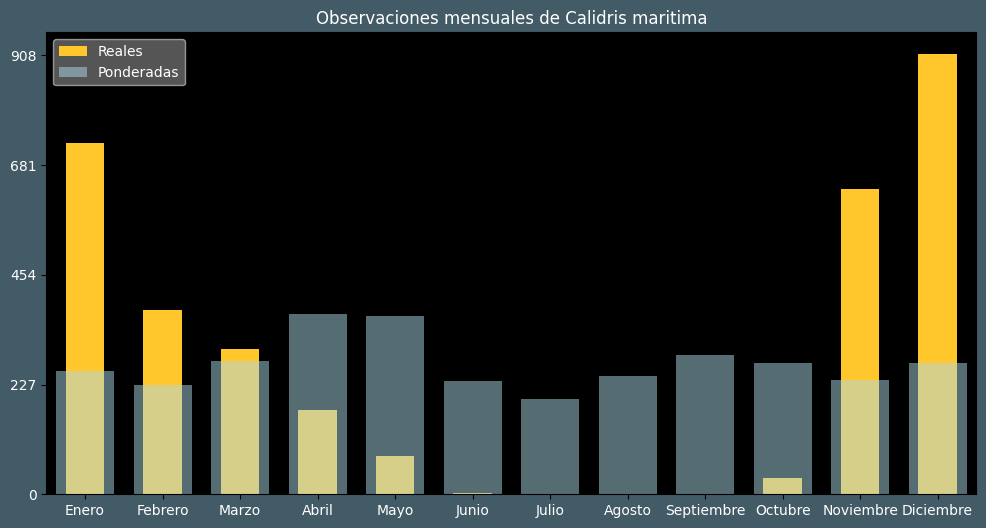 Observations by Month