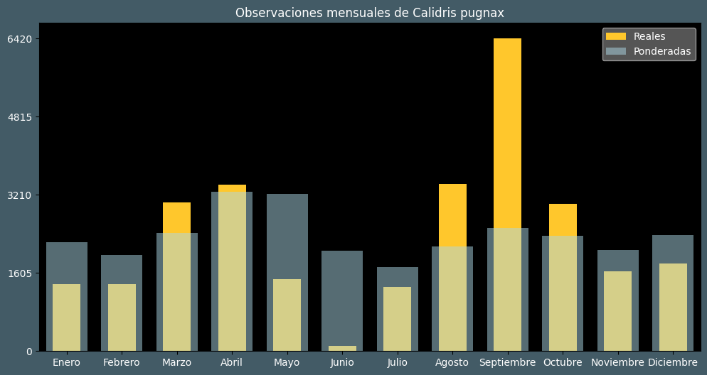 Observations by Month