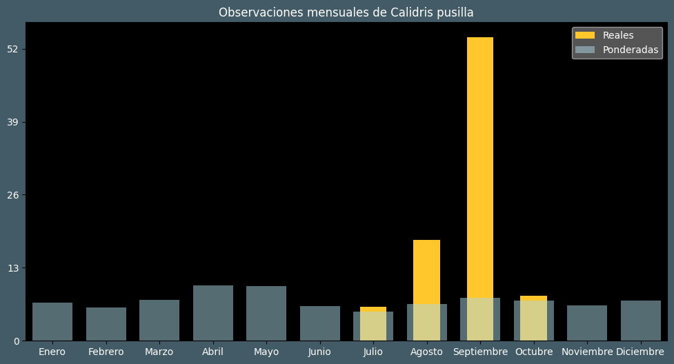 Observations by Month