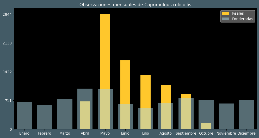 Observations by Month