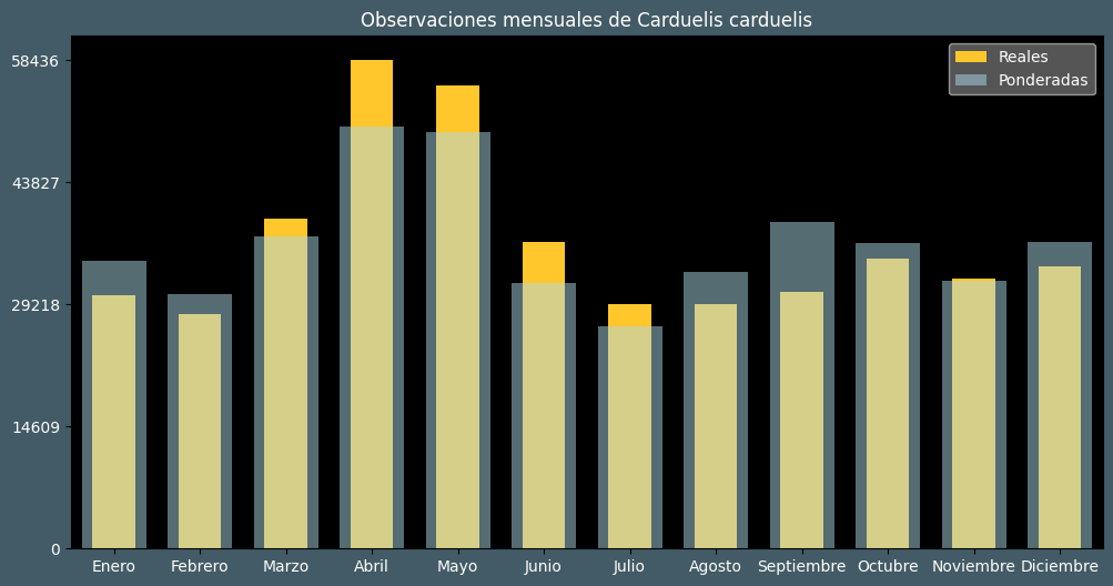 Observations by Month