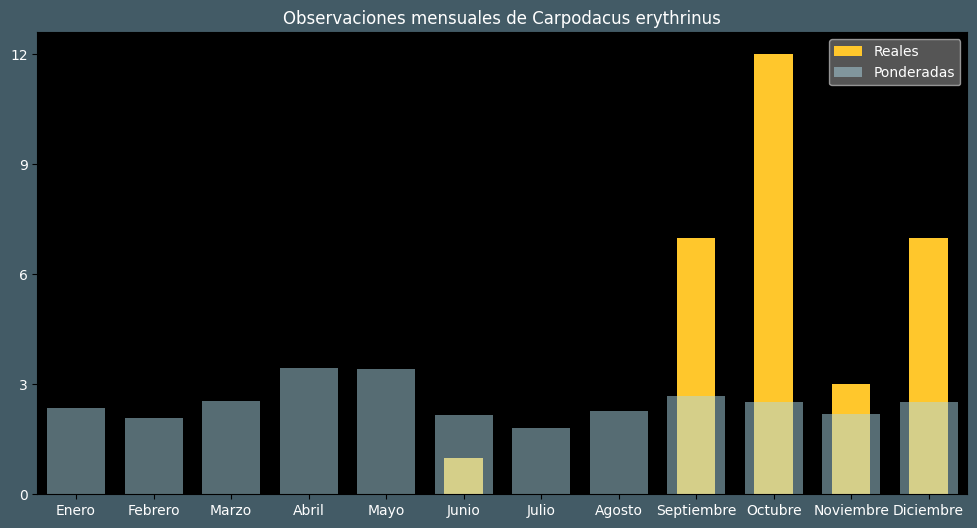 Observations by Month