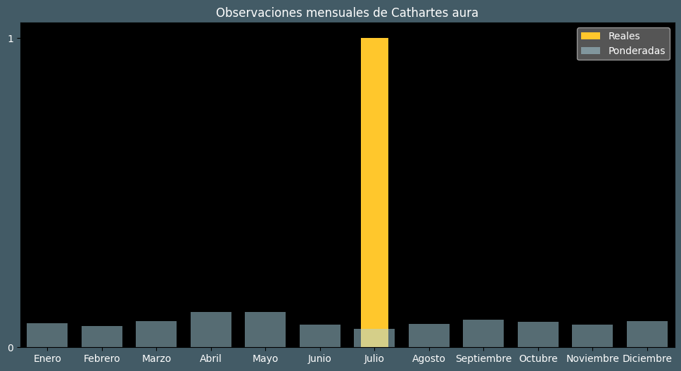 Observations by Month