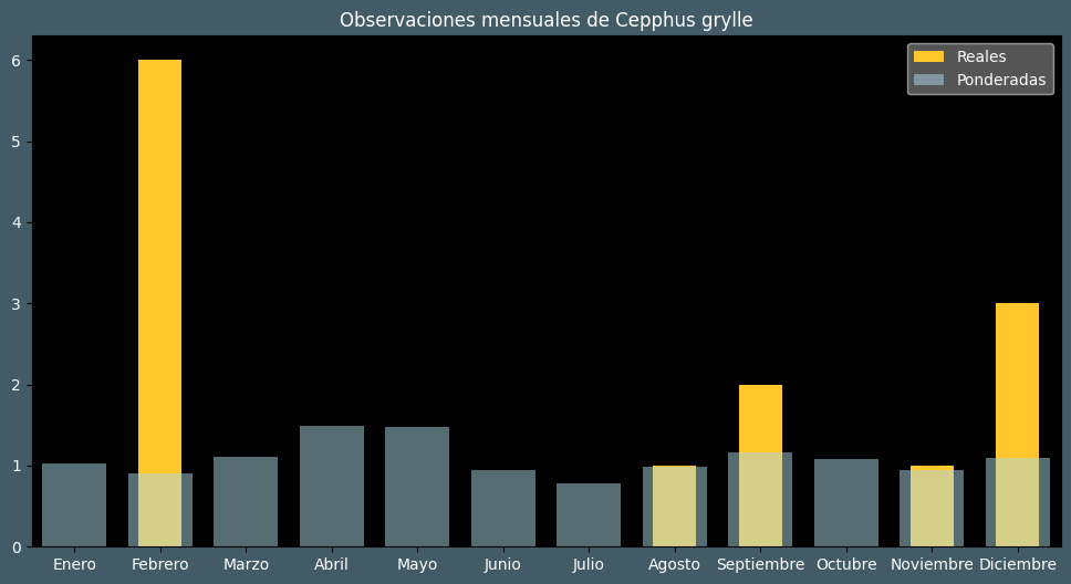 Observations by Month