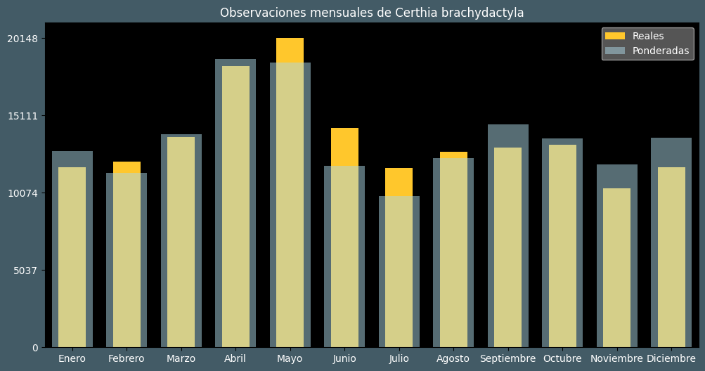 Observations by Month