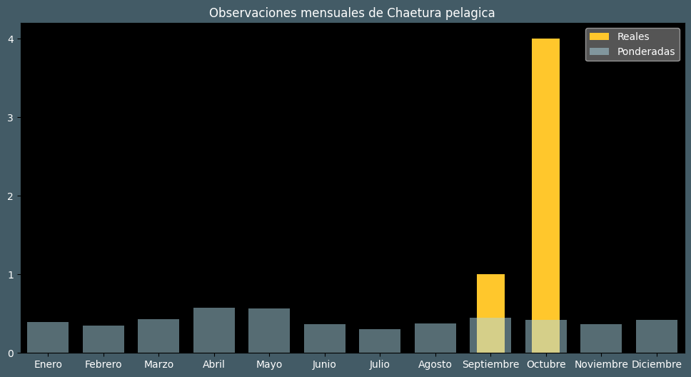 Observations by Month