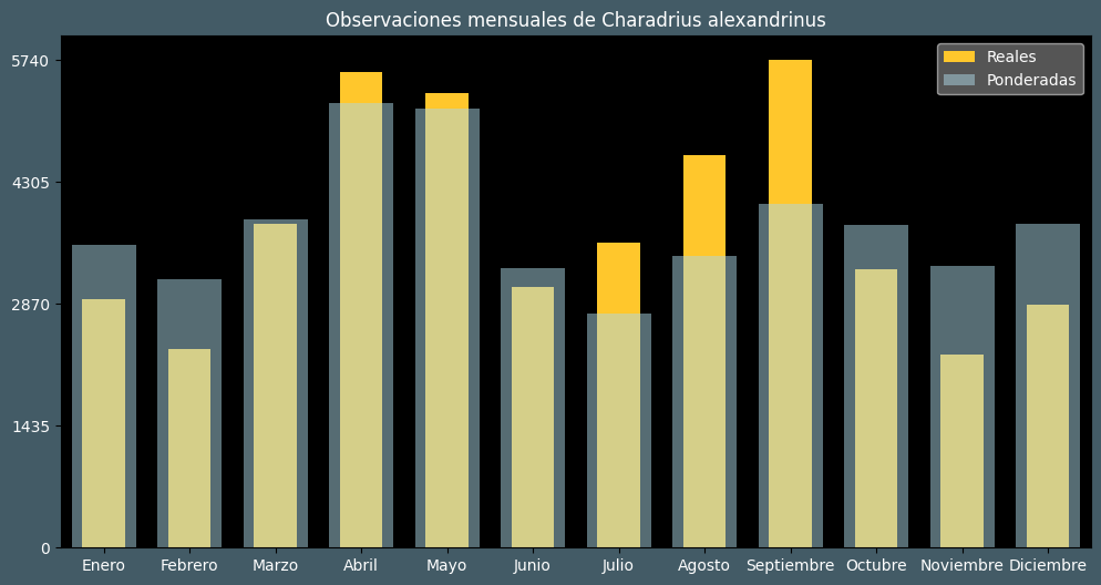 Observations by Month