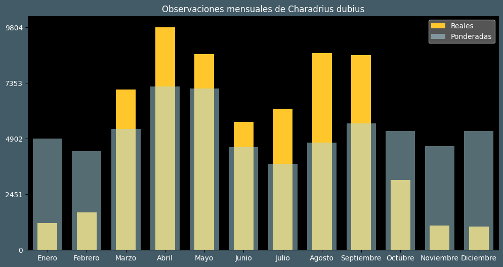 Observations by Month