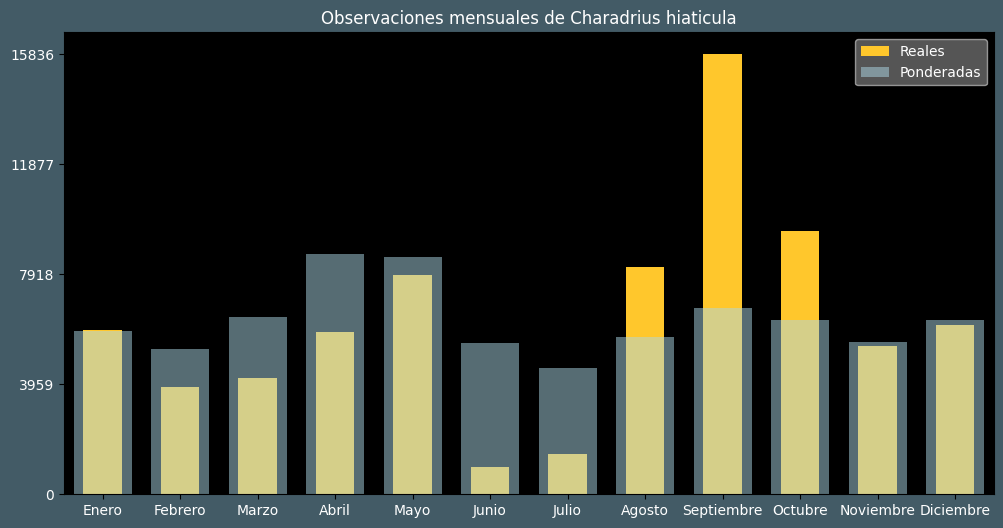 Observations by Month