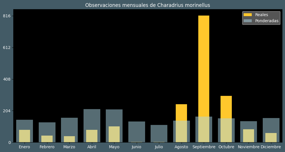 Observations by Month