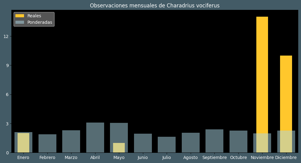 Observations by Month