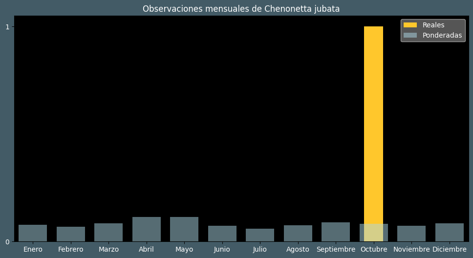 Observations by Month