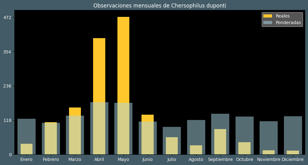 Observations by Month