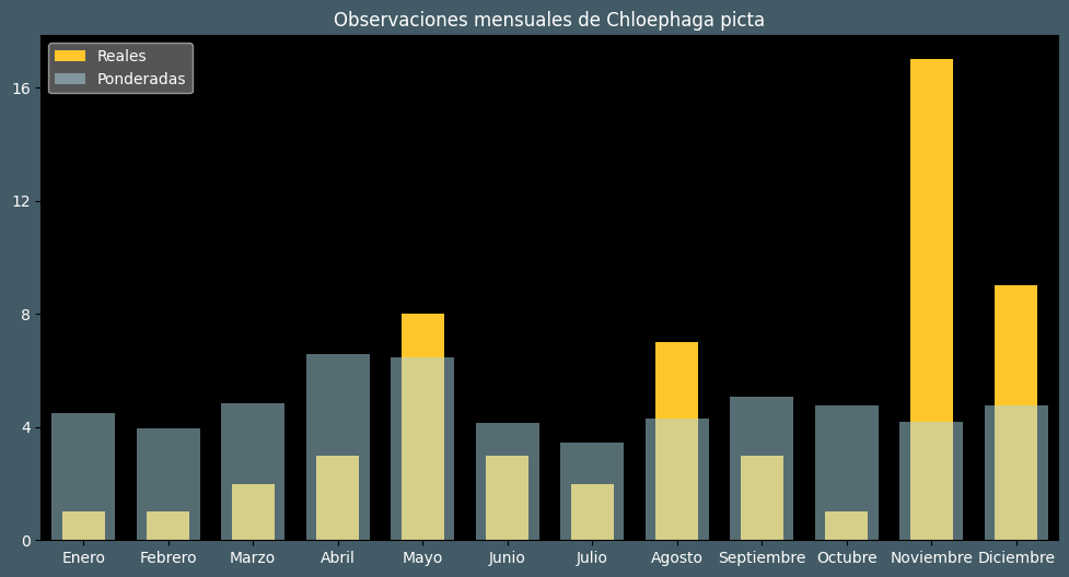 Observations by Month