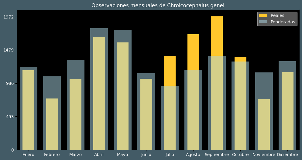 Observations by Month